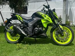 DAYTONA | WOLF 250 | 2025 DAYTONA | WOLF 250 | 2025