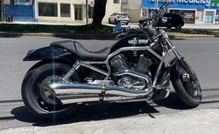 HARLEY DAVIDSON | VROD | 2005 HARLEY DAVIDSON | VROD | 2005