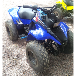 SUZUKI | QUADSPORT 80cc | 2005